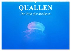 Quallen. Die Welt der Medusen (Wandkalender 2025 DIN A2 quer), CALVENDO Monatskalender