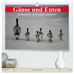 Gänse und Enten. Schnattern, watscheln, quaken! (hochwertiger Premium Wandkalender 2025 DIN A2 quer), Kunstdruck in Hochglanz - Calvendo;Stanzer, Elisabeth