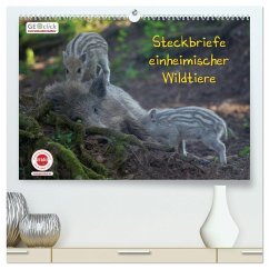 GEOclick Lernkalender: Steckbriefe einheimischer Wildtiere (hochwertiger Premium Wandkalender 2025 DIN A2 quer), Kunstdruck in Hochglanz