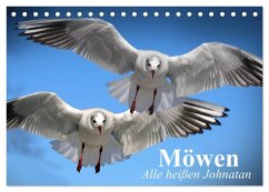 Möwen. Alle heißen Johnatan (Tischkalender 2025 DIN A5 quer), CALVENDO Monatskalender