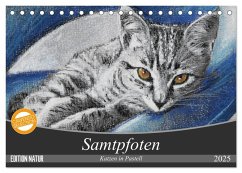 Samtpfoten - Katzen in Pastell (Tischkalender 2025 DIN A5 quer), CALVENDO Monatskalender