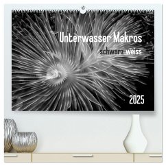 Unterwasser Makros - schwarz weiss 2025 (hochwertiger Premium Wandkalender 2025 DIN A2 quer), Kunstdruck in Hochglanz