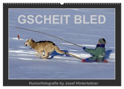 GSCHEIT BLED - Humorfotografie (Wandkalender 2025 DIN A2 quer), CALVENDO Monatskalender - Calvendo;Hinterleitner, Josef