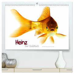 Heinz ¿ Der Goldfisch (hochwertiger Premium Wandkalender 2025 DIN A2 quer), Kunstdruck in Hochglanz