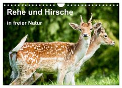 Rehe und Hirsche in freier Natur (Wandkalender 2025 DIN A4 quer), CALVENDO Monatskalender