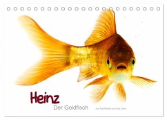 Heinz ¿ Der Goldfisch (Tischkalender 2025 DIN A5 quer), CALVENDO Monatskalender