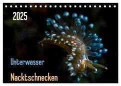 Unterwasser - Nacktschnecken 2025 (Tischkalender 2025 DIN A5 quer), CALVENDO Monatskalender
