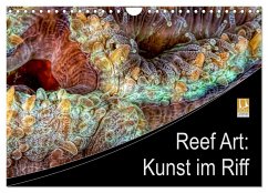 Reef Art - Kunst im Riff (Wandkalender 2025 DIN A4 quer), CALVENDO Monatskalender