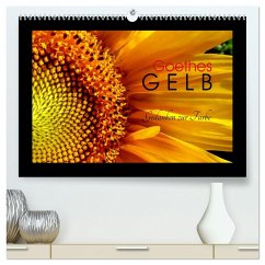 Goethes Gelb Gedanken zur Farbe (hochwertiger Premium Wandkalender 2025 DIN A2 quer), Kunstdruck in Hochglanz