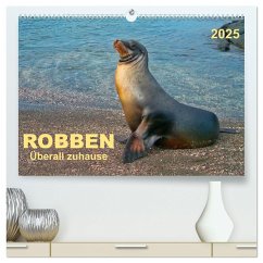 Robben - überall zuhause (hochwertiger Premium Wandkalender 2025 DIN A2 quer), Kunstdruck in Hochglanz