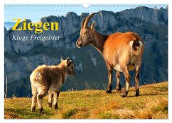 Ziegen. Kluge Freigeister (Wandkalender 2025 DIN A3 quer), CALVENDO Monatskalender