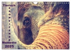 Tierisch ERGREIFENDE Momente 2025 (Wandkalender 2025 DIN A4 quer), CALVENDO Monatskalender