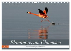 Flamingos am Chiemsee (Wandkalender 2025 DIN A3 quer), CALVENDO Monatskalender