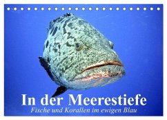 In der Meerestiefe. Fische und Korallen im ewigen Blau (Tischkalender 2025 DIN A5 quer), CALVENDO Monatskalender - Calvendo;Stanzer, Elisabeth