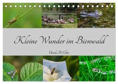 Kleine Wunder im Bienwald (Tischkalender 2025 DIN A5 quer), CALVENDO Monatskalender