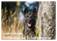 ausdrucksvolle Holländische Schäferhunde (Wandkalender 2025 DIN A3 quer), CALVENDO Monatskalender