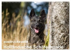 ausdrucksvolle Holländische Schäferhunde (Wandkalender 2025 DIN A3 quer), CALVENDO Monatskalender - Calvendo;Verena Scholze, Fotodesign