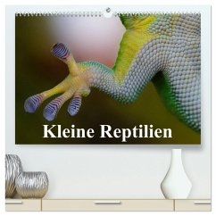 Kleine Reptilien (hochwertiger Premium Wandkalender 2025 DIN A2 quer), Kunstdruck in Hochglanz