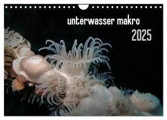 unterwasser makro 2025 (Wandkalender 2025 DIN A4 quer), CALVENDO Monatskalender - Calvendo;Weber-Gebert, Claudia