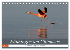 Flamingos am Chiemsee (Tischkalender 2025 DIN A5 quer), CALVENDO Monatskalender