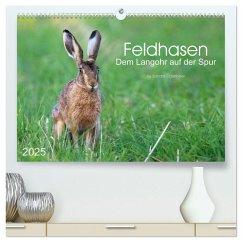 Feldhasen - dem Langohr auf der Spur (hochwertiger Premium Wandkalender 2025 DIN A2 quer), Kunstdruck in Hochglanz - Calvendo;Eigenheer, Sandra