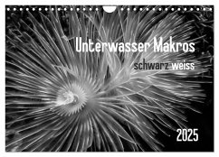 Unterwasser Makros - schwarz weiss 2025 (Wandkalender 2025 DIN A4 quer), CALVENDO Monatskalender - Calvendo;Weber-Gebert, Claudia