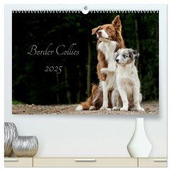 Border Collies 2025 (hochwertiger Premium Wandkalender 2025 DIN A2 quer), Kunstdruck in Hochglanz - Calvendo;Hemlep, Christine