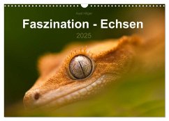 Faszination - Echsen (Wandkalender 2025 DIN A3 quer), CALVENDO Monatskalender