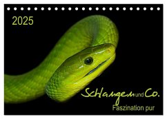 Schlangen und Co. - Faszination pur (Tischkalender 2025 DIN A5 quer), CALVENDO Monatskalender