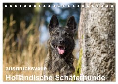 ausdrucksvolle Holländische Schäferhunde (Tischkalender 2025 DIN A5 quer), CALVENDO Monatskalender - Calvendo;Verena Scholze, Fotodesign
