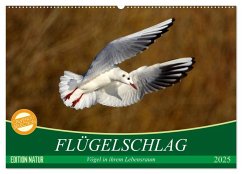 Flügelschlag - Vögel in ihrem natürlichen Lebensraum (Wandkalender 2025 DIN A2 quer), CALVENDO Monatskalender - Calvendo;Kottal, Axel / Elsner, Claudia