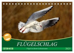 Flügelschlag - Vögel in ihrem natürlichen Lebensraum (Tischkalender 2025 DIN A5 quer), CALVENDO Monatskalender - Calvendo;Kottal, Axel / Elsner, Claudia