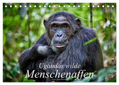 Ugandas wilde Menschenaffen (Tischkalender 2025 DIN A5 quer), CALVENDO Monatskalender