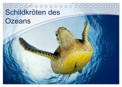 Schildkröten des Ozeans (Tischkalender 2025 DIN A5 quer), CALVENDO Monatskalender