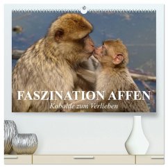 Faszination Affen. Kobolde zum Verlieben (hochwertiger Premium Wandkalender 2025 DIN A2 quer), Kunstdruck in Hochglanz - Calvendo;Stanzer, Elisabeth