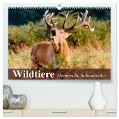 Wildtiere. Heimische Schönheiten (hochwertiger Premium Wandkalender 2025 DIN A2 quer), Kunstdruck in Hochglanz - Calvendo;Stanzer, Elisabeth