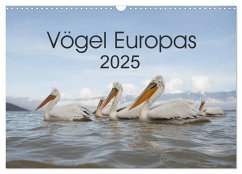 Vögel Europas 2025 (Wandkalender 2025 DIN A3 quer), CALVENDO Monatskalender
