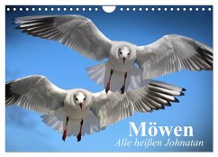 Möwen. Alle heißen Johnatan (Wandkalender 2025 DIN A4 quer), CALVENDO Monatskalender
