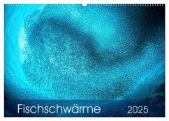 Fischschwärme (Wandkalender 2025 DIN A2 quer), CALVENDO Monatskalender