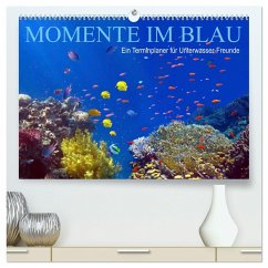 Momente im Blau - Ein Terminplaner für Unterwasser-Freunde (hochwertiger Premium Wandkalender 2025 DIN A2 quer), Kunstdruck in Hochglanz