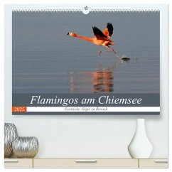 Flamingos am Chiemsee (hochwertiger Premium Wandkalender 2025 DIN A2 quer), Kunstdruck in Hochglanz - Calvendo;R. Bogner, J.