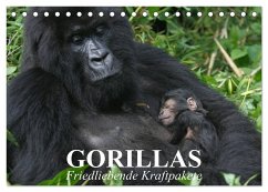 Gorillas. Friedliebende Kraftpakete (Tischkalender 2025 DIN A5 quer), CALVENDO Monatskalender