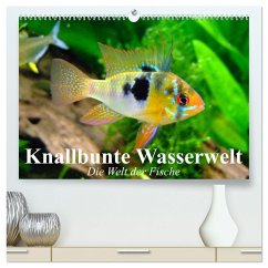 Knallbunte Wasserwelt. Die Welt der Fische (hochwertiger Premium Wandkalender 2025 DIN A2 quer), Kunstdruck in Hochglanz