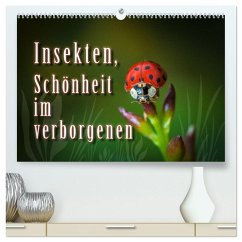 Insekten, Schönheit im verborgenen (hochwertiger Premium Wandkalender 2025 DIN A2 quer), Kunstdruck in Hochglanz