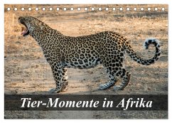 Tier-Momente in Afrika (Tischkalender 2025 DIN A5 quer), CALVENDO Monatskalender - Calvendo;Janßen, Dirk