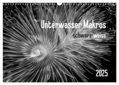 Unterwasser Makros - schwarz weiss 2025 (Wandkalender 2025 DIN A3 quer), CALVENDO Monatskalender - Calvendo;Weber-Gebert, Claudia