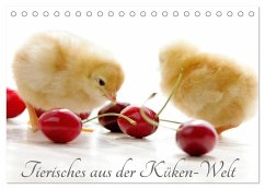 Tierisches aus der Küken-Welt (Tischkalender 2025 DIN A5 quer), CALVENDO Monatskalender