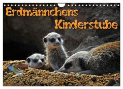 Erdmännchens Kinderstube (Wandkalender 2025 DIN A4 quer), CALVENDO Monatskalender