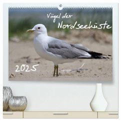 Vögel der Nordseeküste (hochwertiger Premium Wandkalender 2025 DIN A2 quer), Kunstdruck in Hochglanz