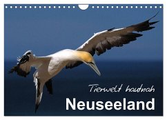 Neuseeland - Tierwelt hautnah (Wandkalender 2025 DIN A4 quer), CALVENDO Monatskalender - Calvendo;Böhme, Ferry